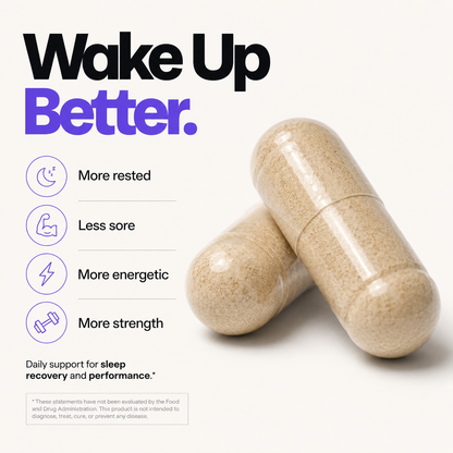 Project Nyx - Recovery Protocol
